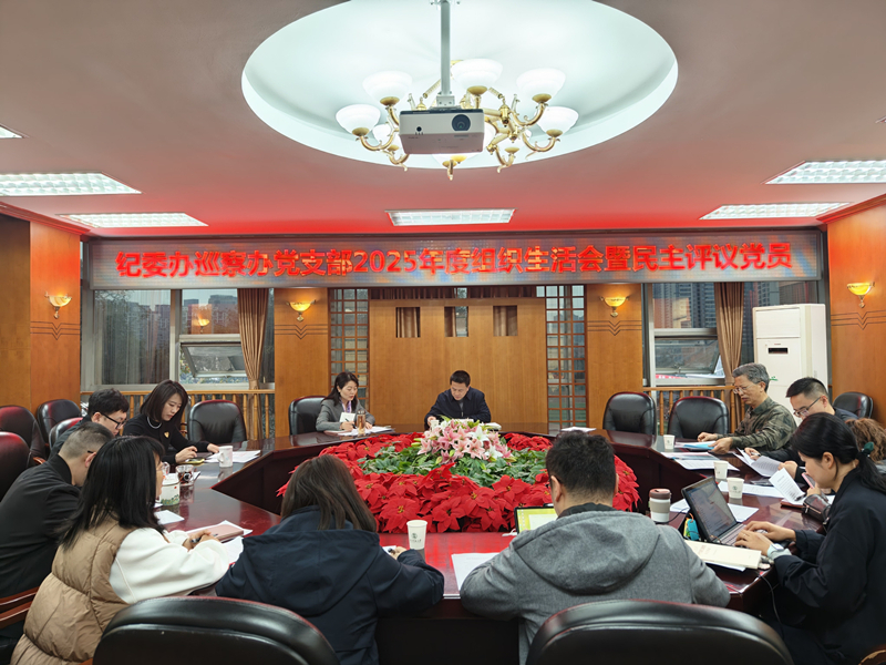 纪委办巡察办党支部召开2025年度组织生活会暨民主评议党...